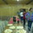 DSCN3783